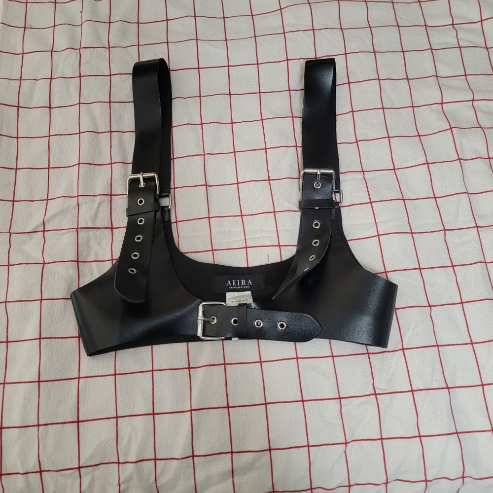 Adjustable Harness